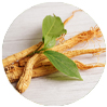 Panax Ginseng